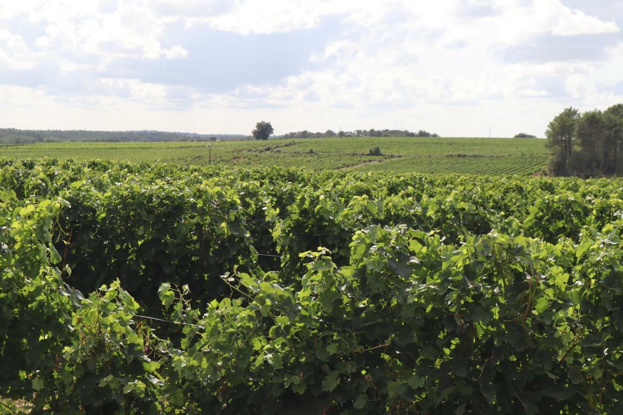 Domaine Des Tilleuls Val-de-Livenne Luaran gambar
